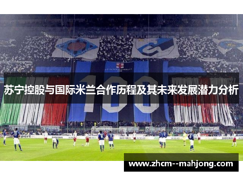 苏宁控股与国际米兰合作历程及其未来发展潜力分析