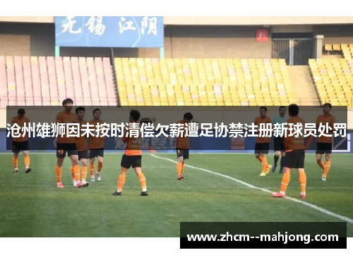 沧州雄狮因未按时清偿欠薪遭足协禁注册新球员处罚